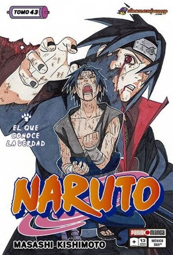 Naruto 43