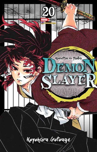 Demon Slayer 20
