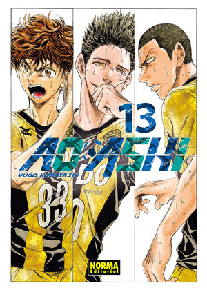 Ao Ashi 13