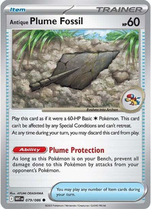 079/086 - Antique Plume Fossil