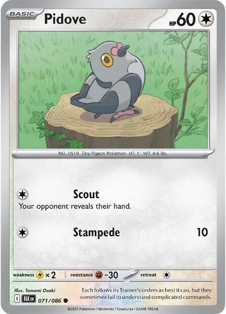 071/086 - Pidove (Reverse Holo)