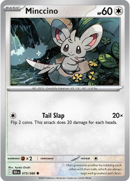 075/086 - Minccino (Master Ball Pattern)
