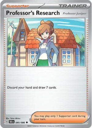 085/086 - Professor's Research