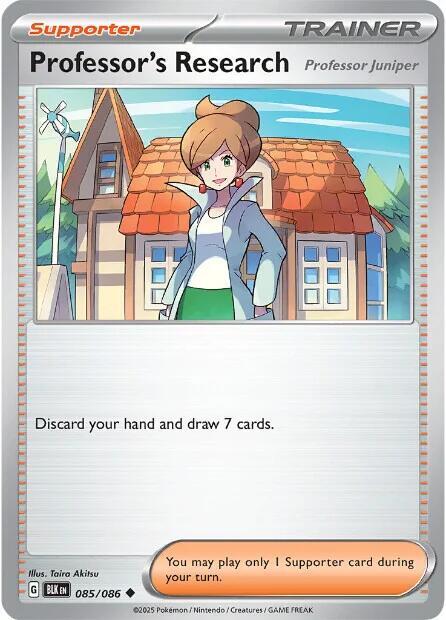 085/086 - Professor's Research