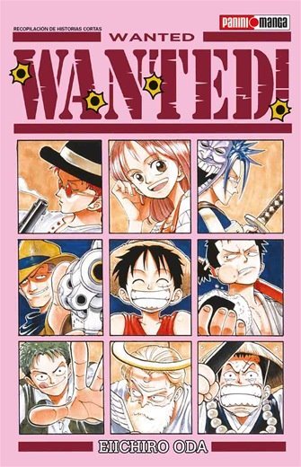 One piece WANTED