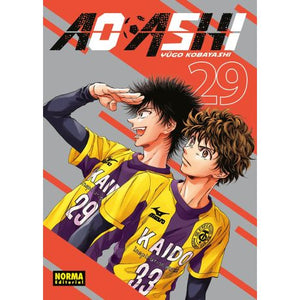 Ao Ashi 29
