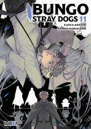 Bungou Stray Dogs Edición 2 en 1 - 11