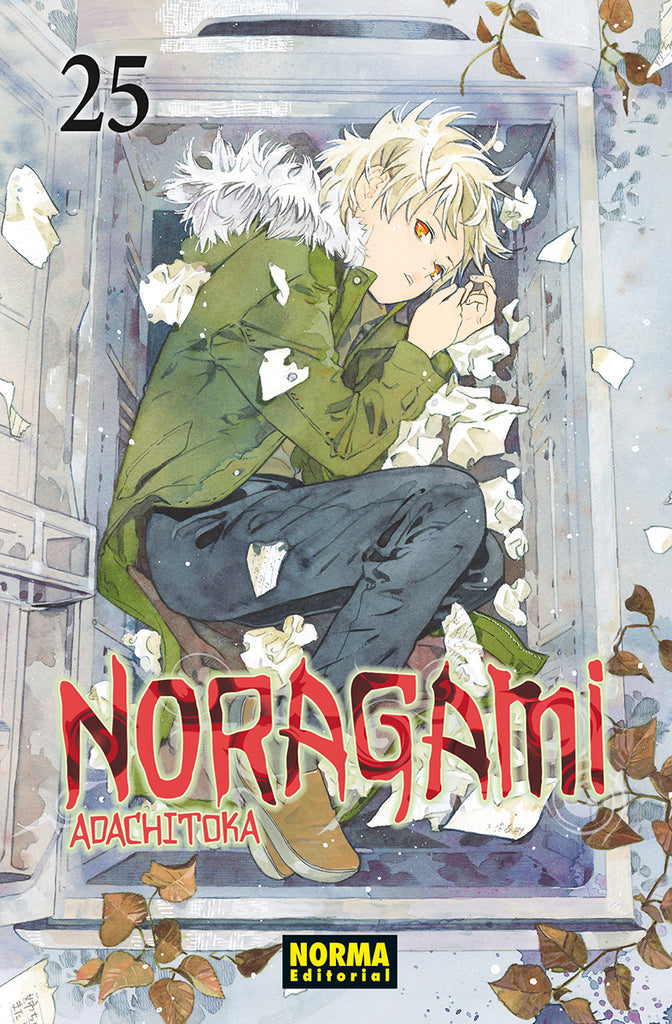 Noragami 25