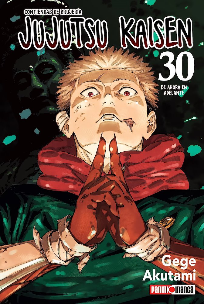 Jujutsu Kaisen 30