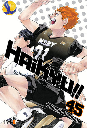Haikyu!! 45