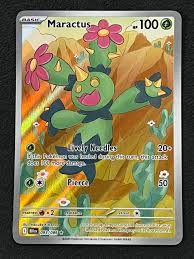 093/086 - Maractus AA