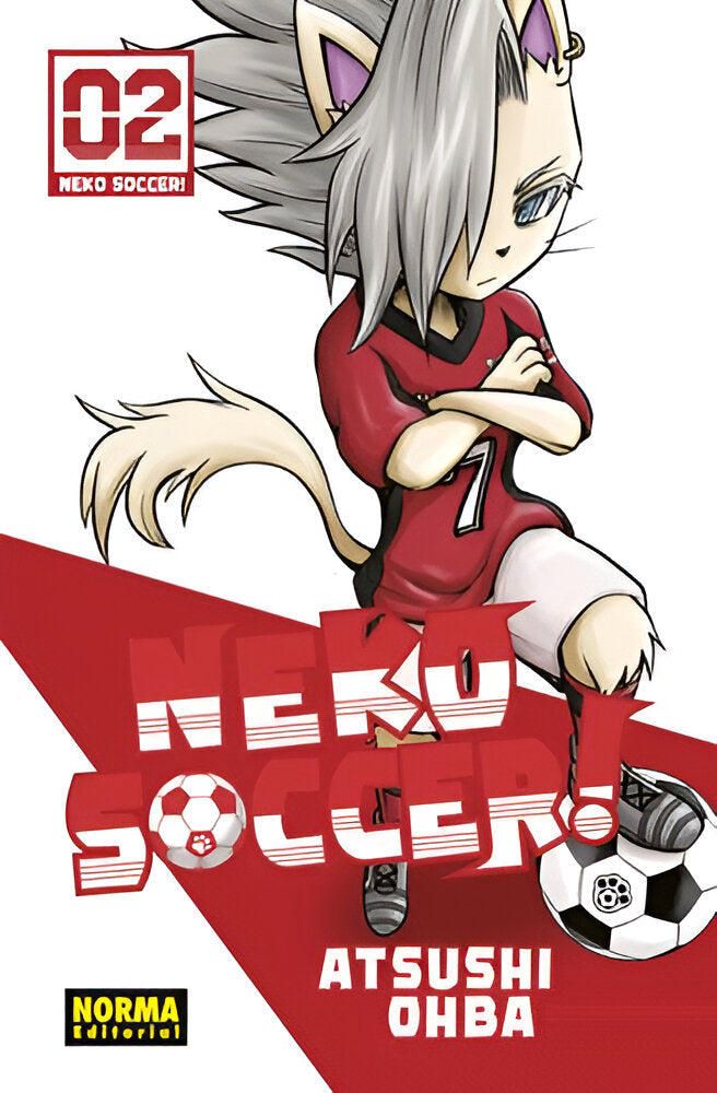 Neko soccer 02