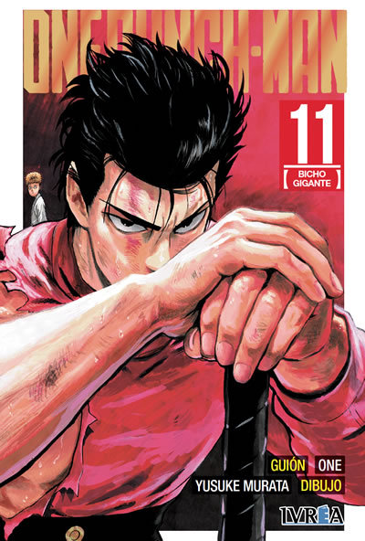 One Punch-Man 11