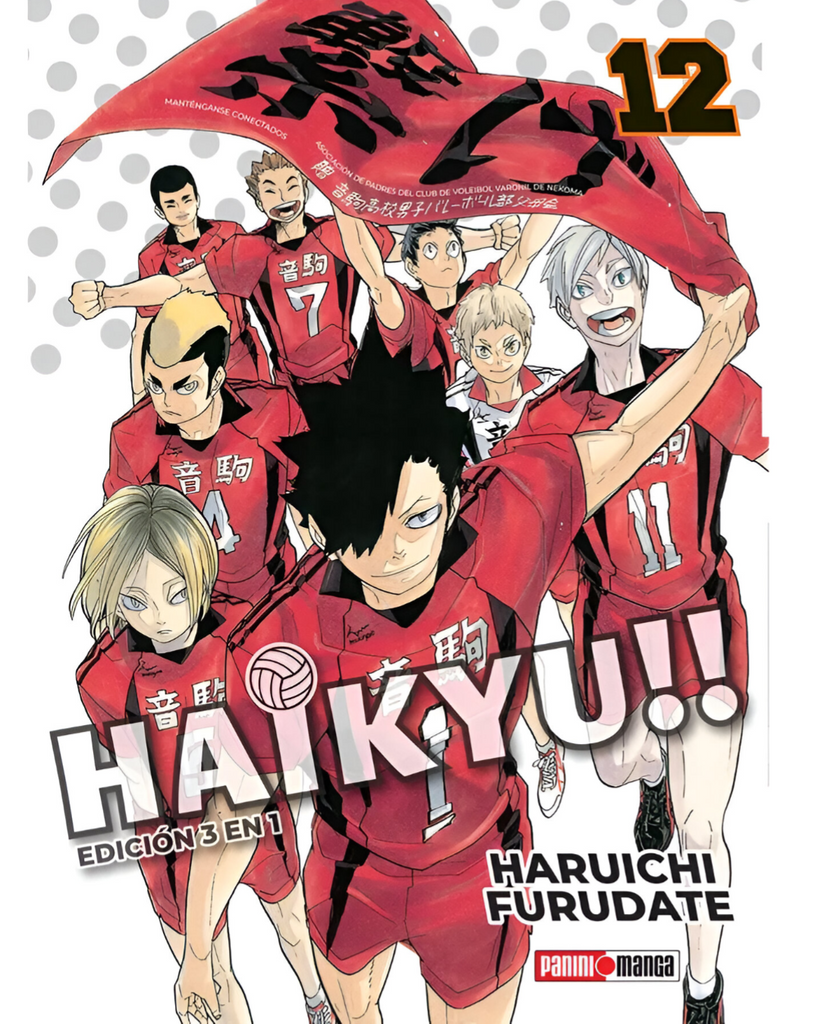 Haikyu!! (3 en 1) 12