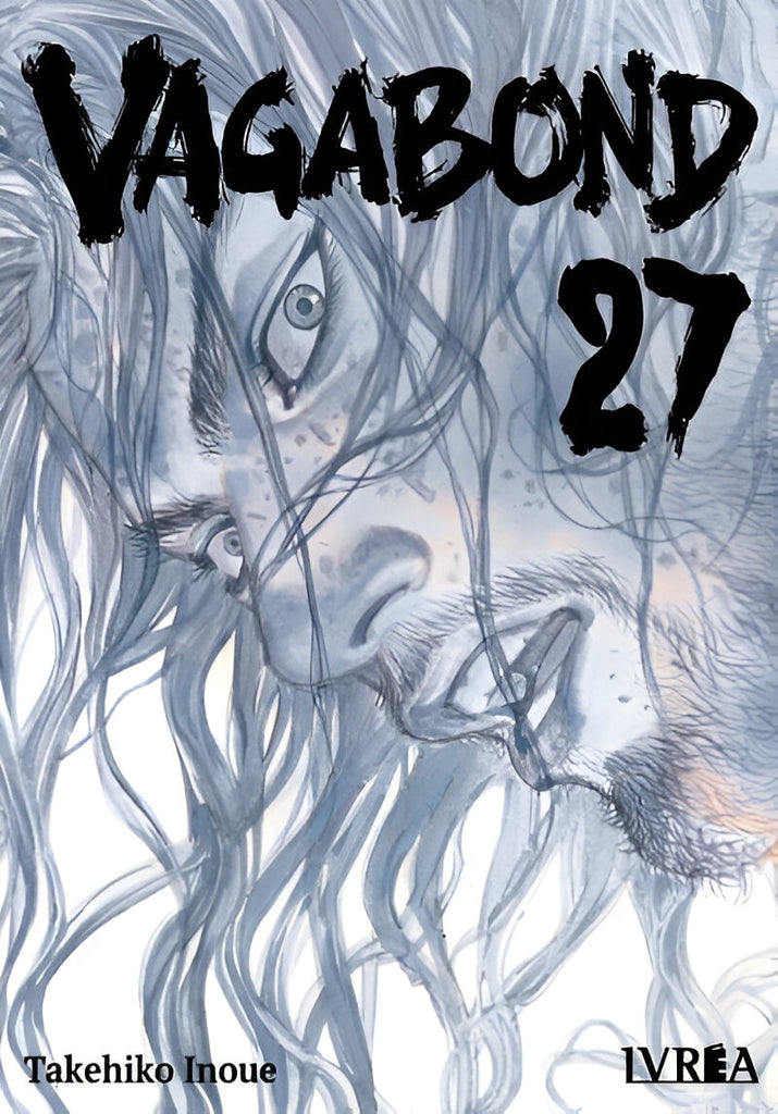 Vagabond 27