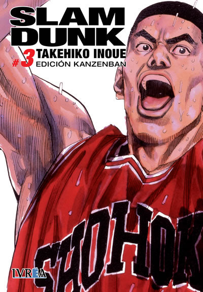 Slam Dunk Kanzenban 03