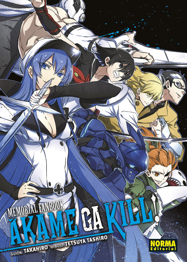 Akame ga kill MEMORIAL FANBOOK