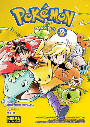Pokemon amarillo 02