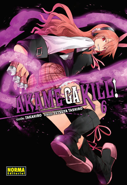 Akame ga kill 06