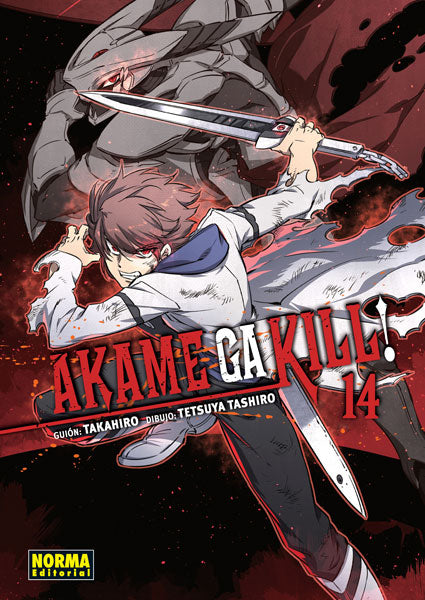 Akame ga kill 14