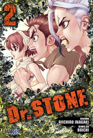 DR. Stone 02