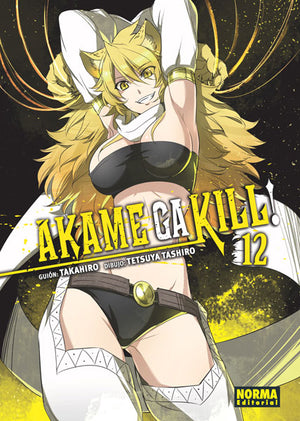 Akame ga kill 12