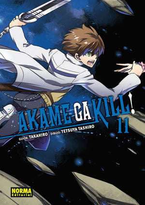 Akame ga kill 11