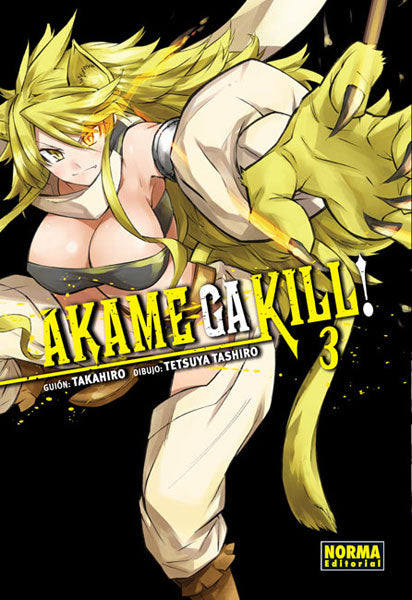 Akame ga kill 03