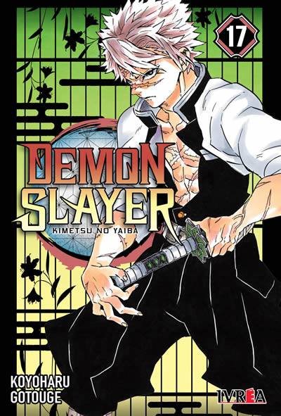 Demon Slayer 17