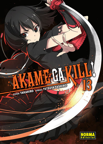 Akame ga kill 13