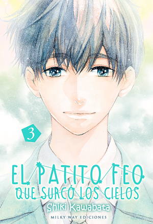 El patito feo que surcó los cielos 03
