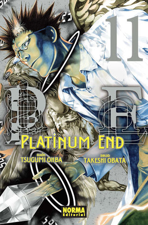 Platinum end 11